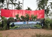 Polda Aceh Berhasil Musnahkan 18 Hektare Ladang Ganja di Aceh Utara